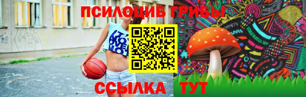 Псилоцибиновые грибы Psilocybe  Псилоцибиновые грибы мицелий  Можайск  Вход с VPN 